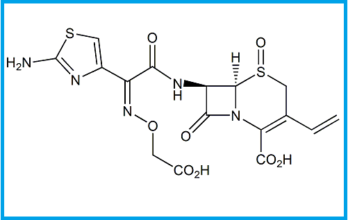 CEFIXIME SULFOXIDE 